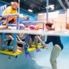 Finis Hanging Swim Bench