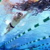 Finis Smart Goggle Kit (Røgfarvet/Hvid)
