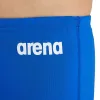 Arena Team Solid Aquashort
